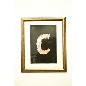 Vtg ERTE August 1976 “C" Lithograph Serigraph Signed 344/350 Framed Provenance